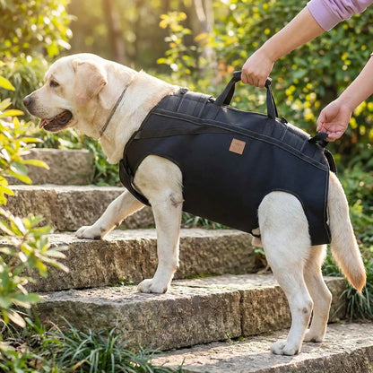 sac a dos chien pour assistance