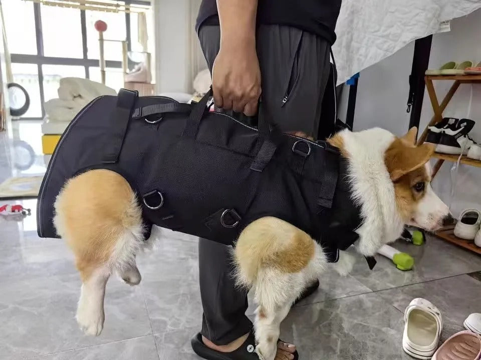 sac a dos chien prise en main facile