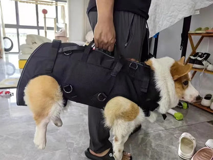 sac a dos chien prise en main facile