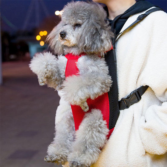 sac a dos chien toute petit moyen
