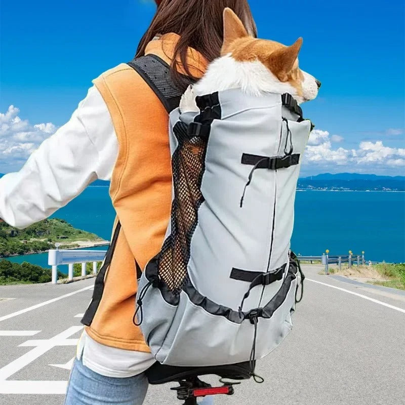 sac à dos pour chien confort sécurité