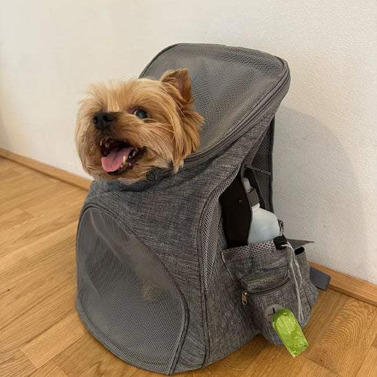 sac a dos pour chien multiple poches