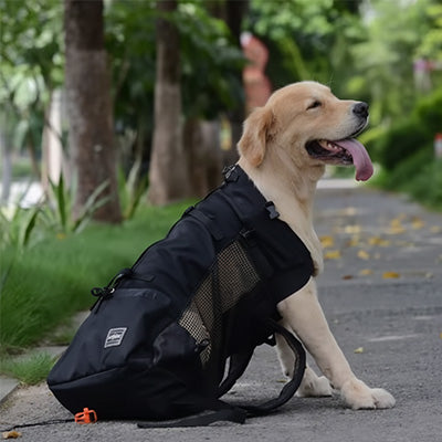 sac à dos pour chien polyvalent libre