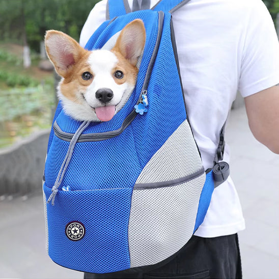 sac a dos pour chien porté derrière