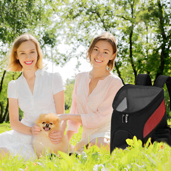 sac a dos pour chien pratique pour toute activité