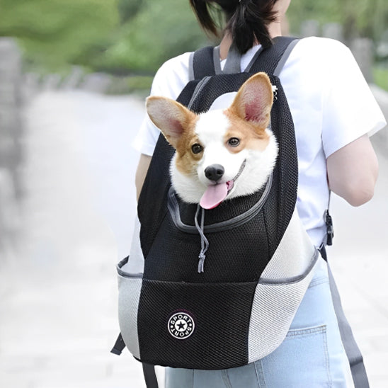 sac a dos pour chien tissu robuste
