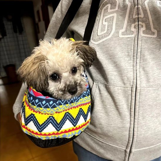 sac de transport chien bandouliere reglable portable et leger