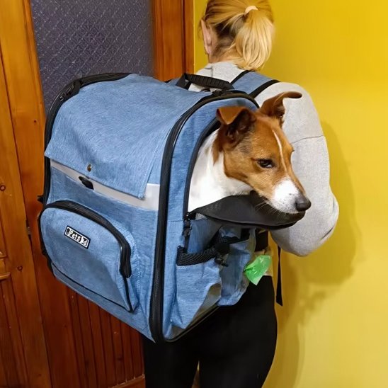Sac de transport chien fenetre meche ventille