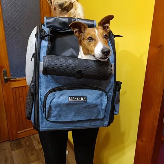 Sac de transport  chien Sangle de sécurité interne