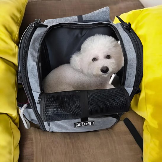 Sac de transport chien Sangle de sécurité interne