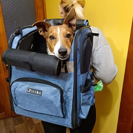 Sac de transport chien Système de portage dorsal ergonomique