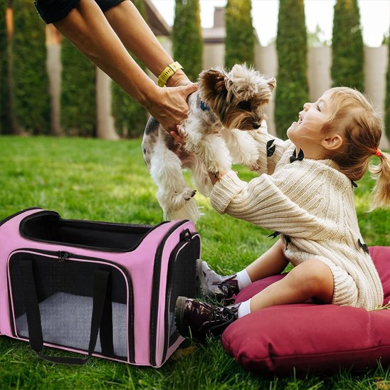 sac de transport pour chien accès facile ouverture supérieur