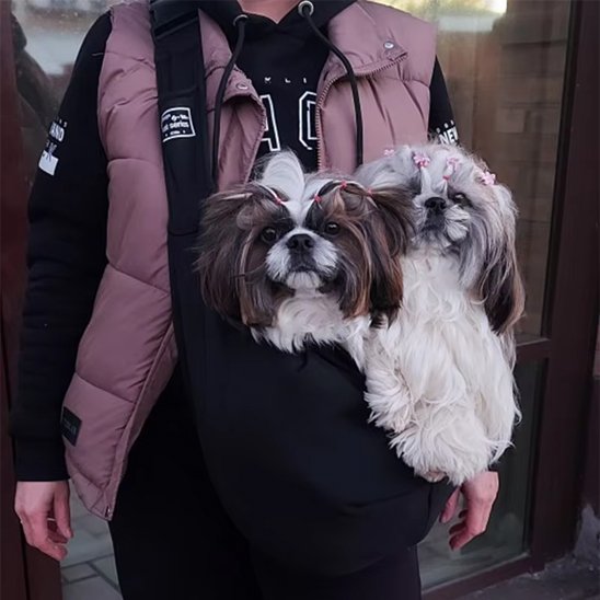 sac de transport pour chien main libre 