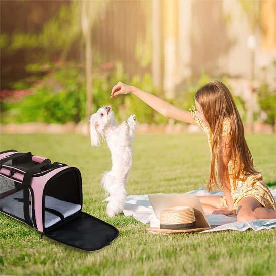 sac de transport pour chien utile pour le parc ou le repos  