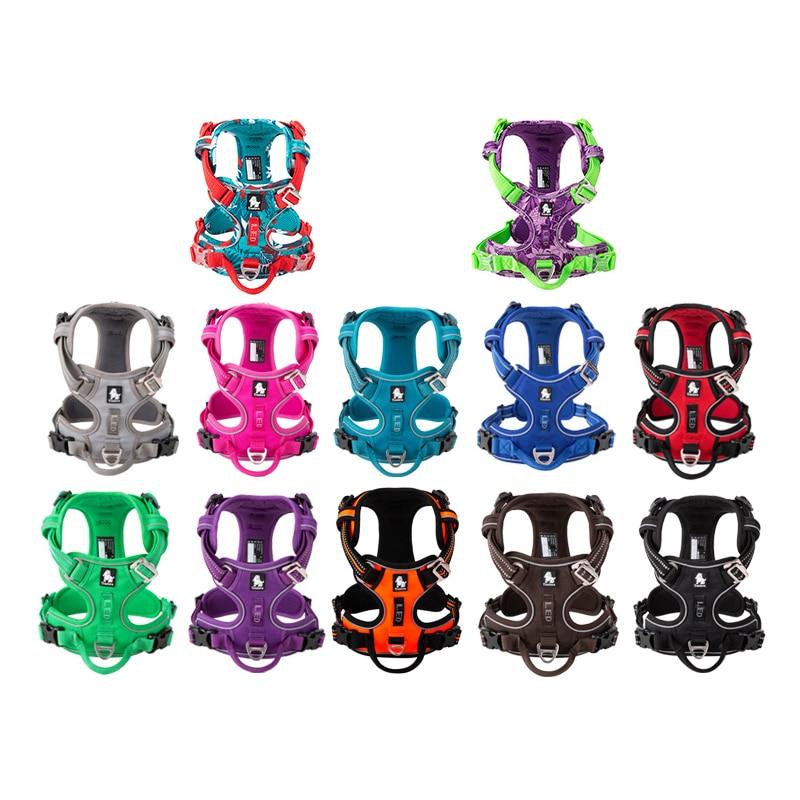 SafetyHarness™ - Harnais pour animal de compagnie - Pattes Museau et Cie