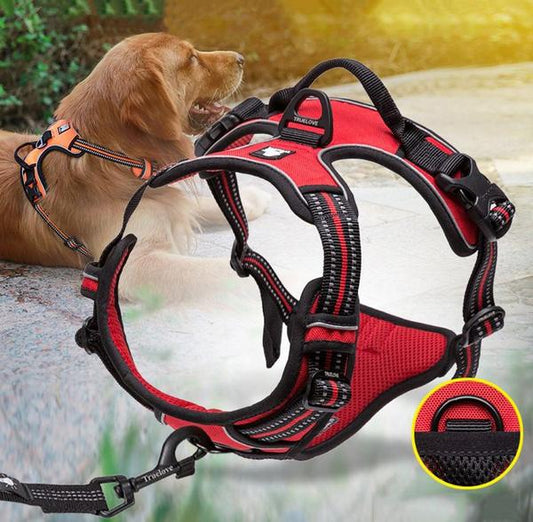 SafetyHarness™ - Harnais pour animal de compagnie - Pattes Museau et Cie