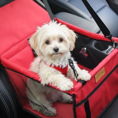 Siege auto pour chien Compact et pliable