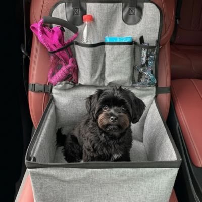 Siege auto pour chien Compartiment spacieux pour petits chiens jusqu'à 10 kg