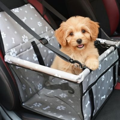Siege auto pour chien Formats et motifs variés