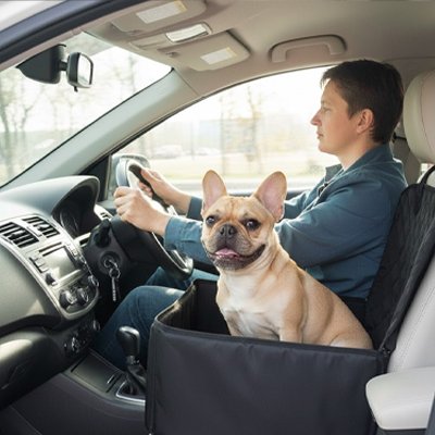Siege auto pour chien Maintien et sécurité
