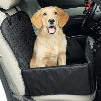 Siege auto pour chien Visibilité améliorée position surélevée