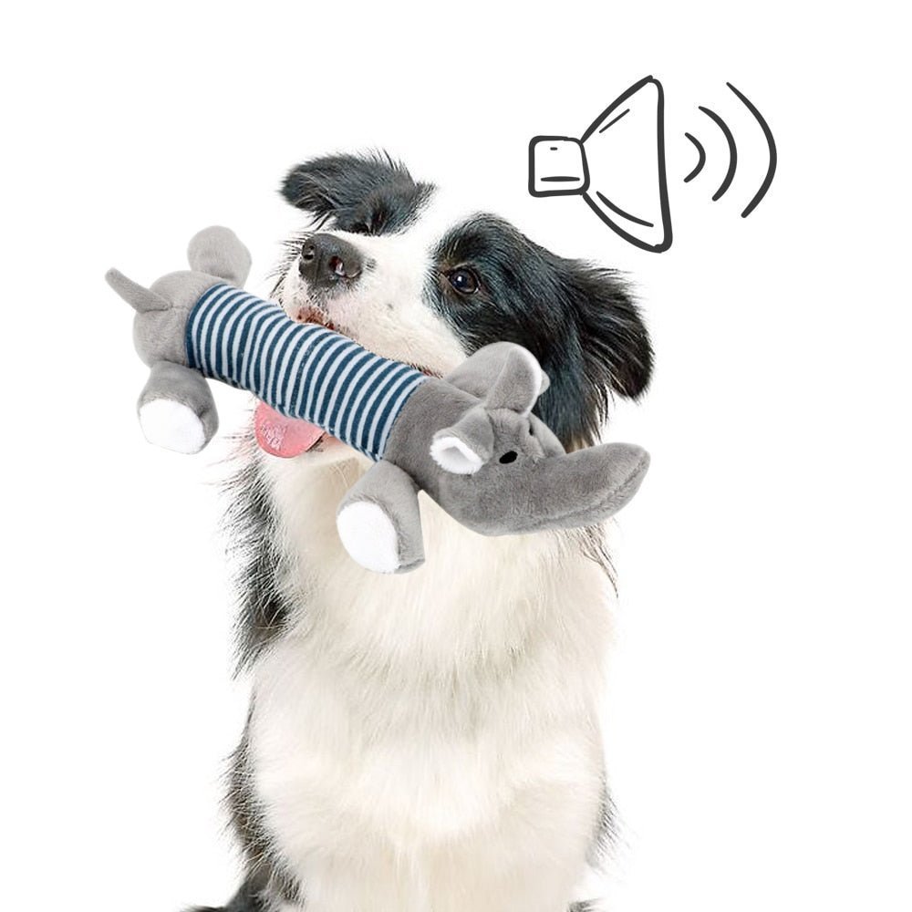 SoundToys™ - Jouet peluche pour chiens - Pattes Museau et Cie