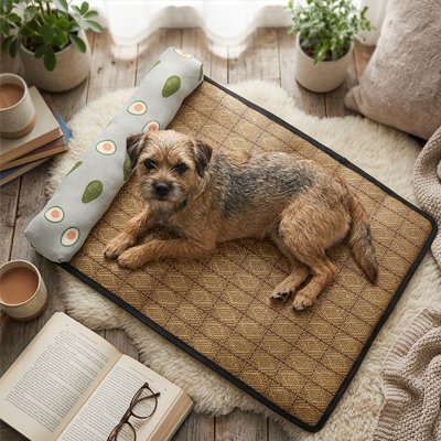 Tapis rafraichissant Chien Adaptabilité multi-races