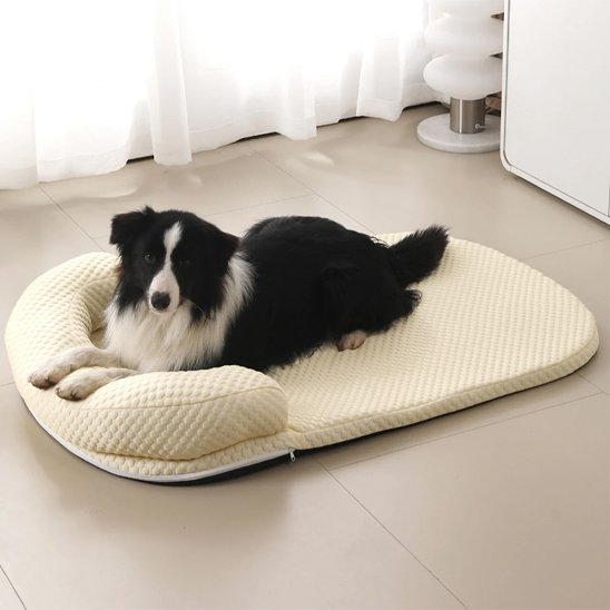 Tapis rafraichissant chien Dimensions adaptées pour race moyenne à grande