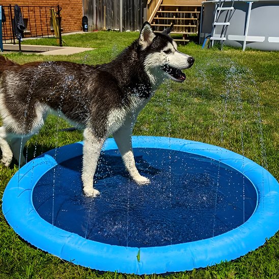 tapis rafraichissant chien Fond antidérapant: surface texturée