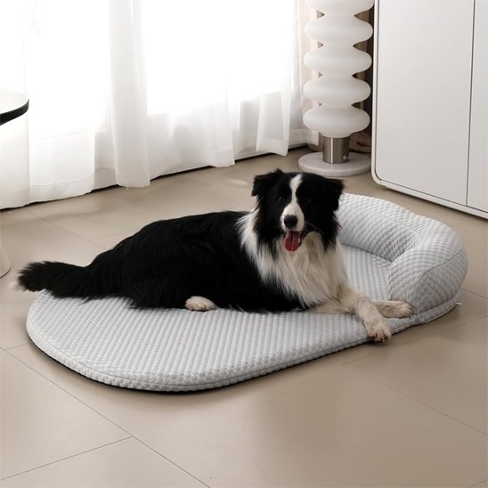 Tapis rafraichissant chien Fond antidérapant