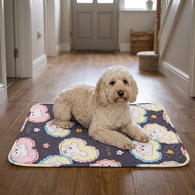 Tapis rafraichissant Chien Surface douce 