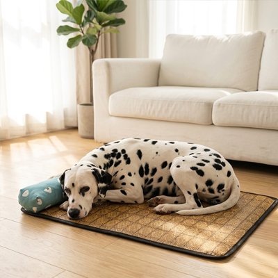 Tapis rafraichissant Chien texture respirante et confortable