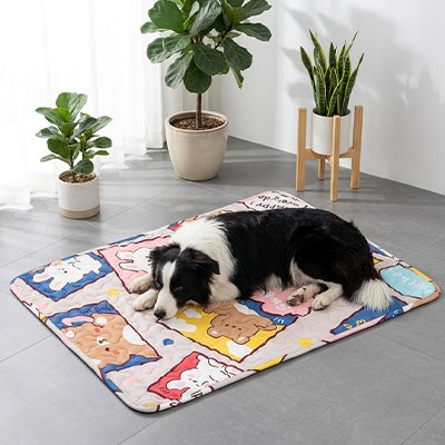 Tapis rafraîchissant pour Chien Dimensions adaptées