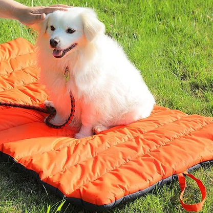 Tapis rafraichissant pour chien Polyvalence d'usage