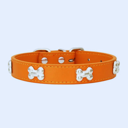 Collier pour chien en cuir | Bad Patte™