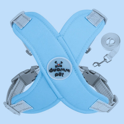 Harnais chien anti traction | PatteFeutrée™