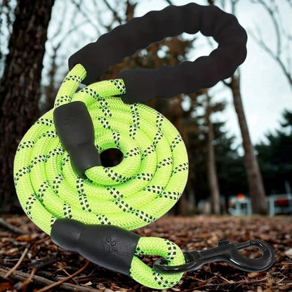 LAISSE POUR CHIEN | PATTE RÉFLEX™