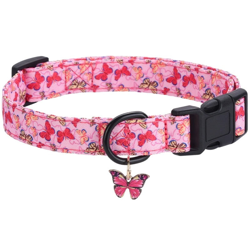 Collier chien | Pattes et Bestioles™