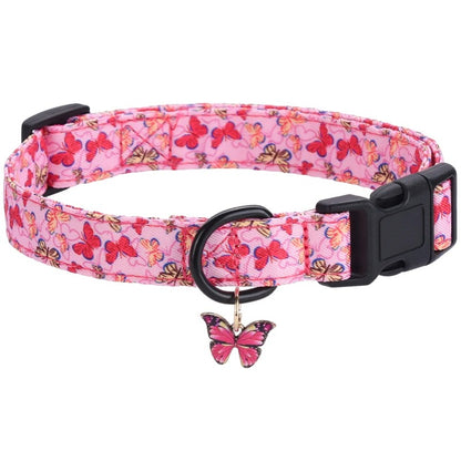 Collier chien | Pattes et Bestioles™