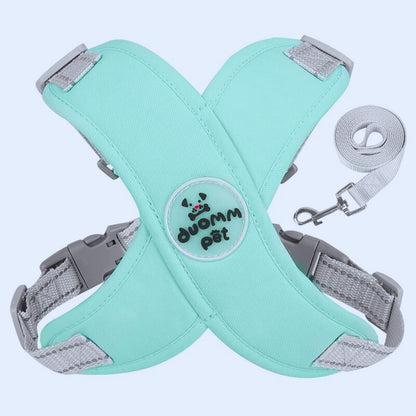 Harnais chien anti traction | PatteFeutrée™