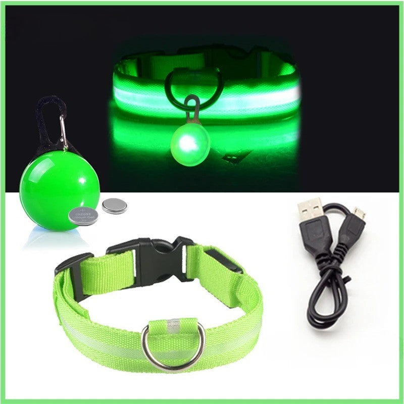 Collier lumineux chien- Lumino Patte | Pattes Museau & Cie™