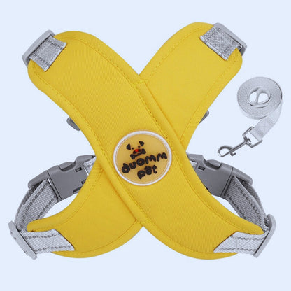 Harnais chien anti traction | PatteFeutrée™