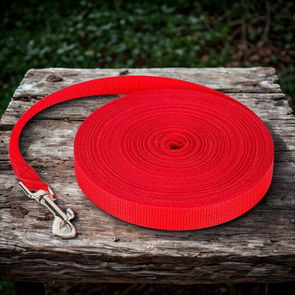 Laisse pour chien | Patte Fiable™