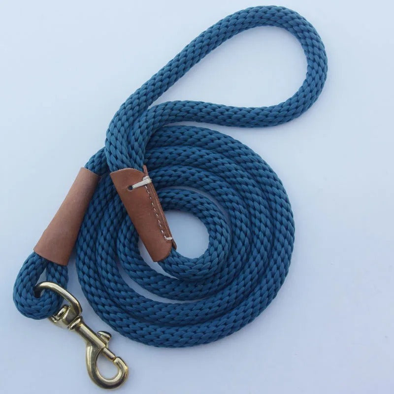 Laisse chien | Dura Patte™