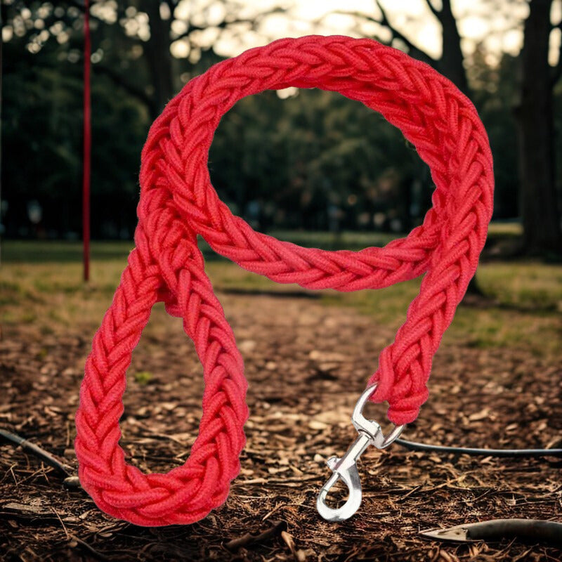 Laisse Chien Corde Robuste Patte Tressée | Pattes Museau & Cie™