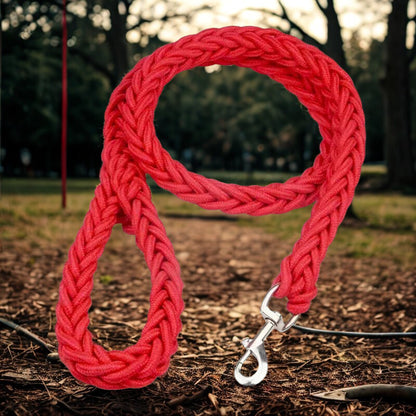 Laisse Chien Corde Robuste Patte Tressée | Pattes Museau & Cie™