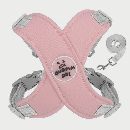 Harnais chien anti traction | PatteFeutrée™