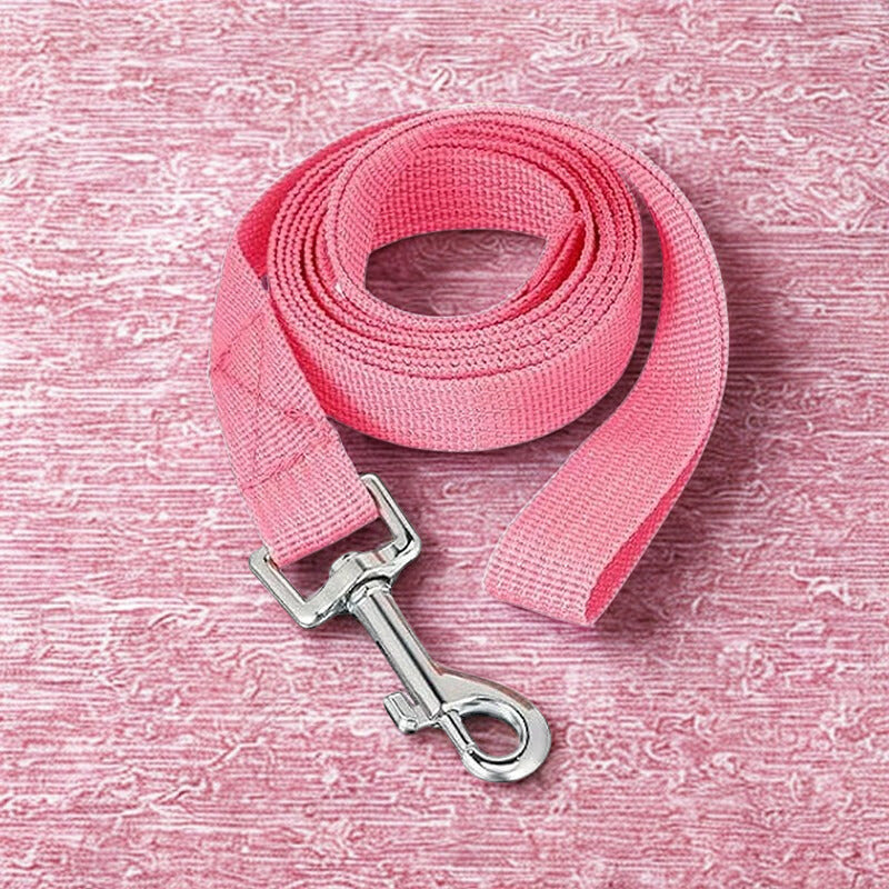 Longe Chiens | Patte Utile 20M™