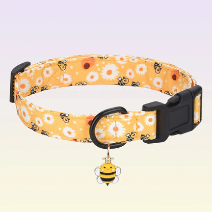 Collier chien | Pattes et Bestioles™
