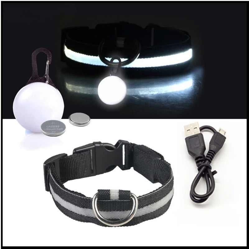 Collier lumineux chien- Lumino Patte | Pattes Museau & Cie™